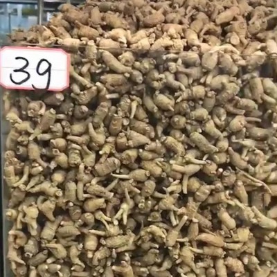 产地山东文登西洋参原丛圆粒花旗参粒头短支整枝滋补人参现货批发图5