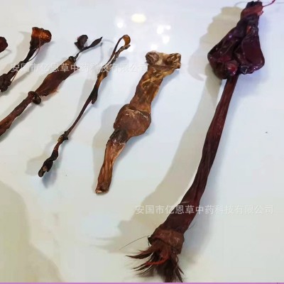 十鞭王泡酒料牛鞭猪鞭动物鞭批发蛇鞭羊海肾切片厂家直销代发图5