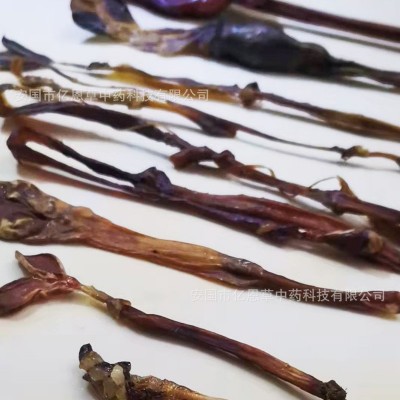 十鞭王泡酒料牛鞭猪鞭动物鞭批发蛇鞭羊海肾切片厂家直销代发图4