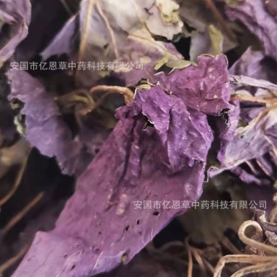 紫苏叶批发 单双面紫苏大货 产地货源 紫苏叶子 安国药材图3