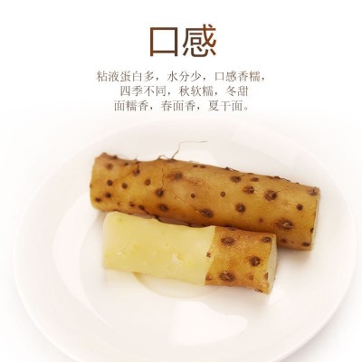 铁棍山药河南焦作温县垆土正宗新鲜长5斤批铁根淮山铁怀山铁杆棒图4