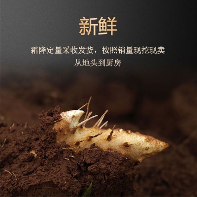 铁棍山药河南焦作温县垆土正宗新鲜长5斤批铁根淮山铁怀山铁杆棒图2