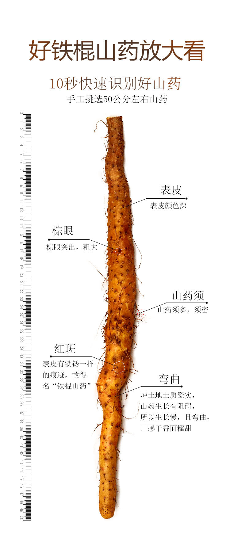 铁棍山药50_03.jpg