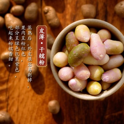 新鲜铁棍山药豆可选大号特大糖葫芦焦作小淮山蛋种子原种苗子图4