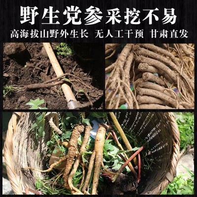 野生党参500g克大条纹党叁批发甘肃中药材当参组合黄芪当归煲汤图3