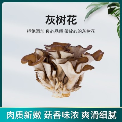 灰树花干货新货煲汤炒菜佳品农家自产菌菇产地直批食用菌菇图2