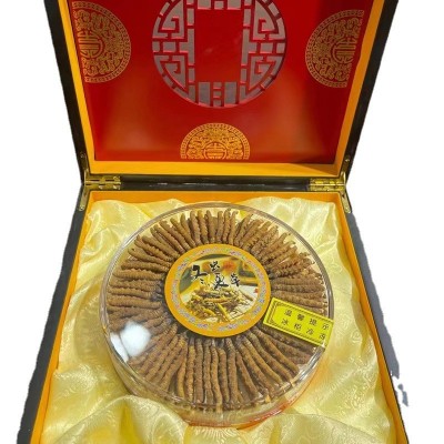西藏那曲冬虫夏草批发新货玉树干虫草非人工种植虫草干货顺丰包邮图5