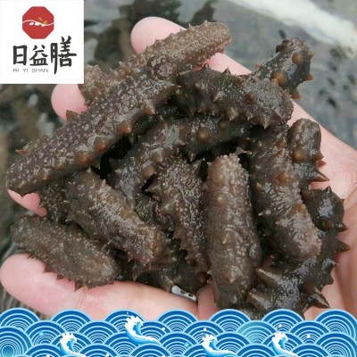 【一件代发】厂家直销 大连海参 高压即食 批发 御和贸易图4