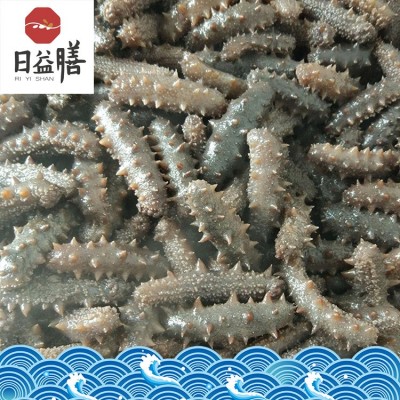 【一件代发】厂家直销 大连海参 高压即食 批发 御和贸易图5