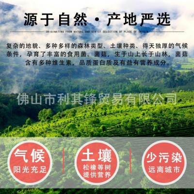 云南羊肚菌礼盒装山珍干货礼品过年送礼企业员工福利菌菇干货礼盒图4