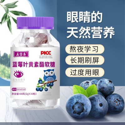 蓝莓叶黄素酯新式软糖批发代加工凝胶糖果益生菌儿童小零食代发图1