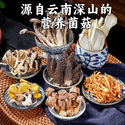 七彩菌汤包云南营养菌菇羊肚菌配料真实材料农产品汤料包煲汤熬制图2