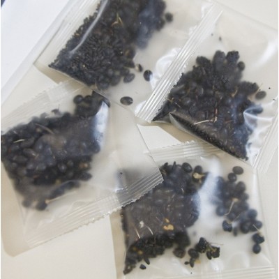 桑葚五黑茶黑芝麻黑枸杞黑米蓝莓茶代用茶养生茶批发零售量大价优图3