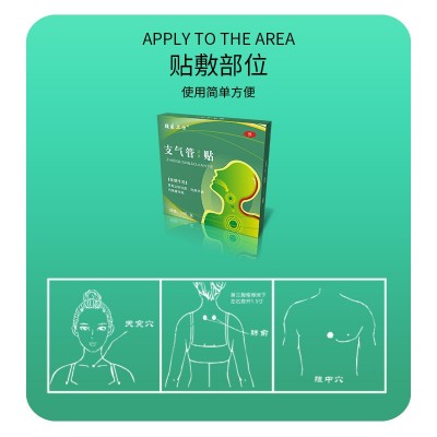 厂家货源批发代发辅医卫仕成人咳嗽平喘贴穴位贴痰多去咳支气管图3