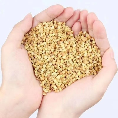 黄苦荞茶 产地四川苦荞茶罐装农产品批发 源头厂家黄苦荞一件代发图2