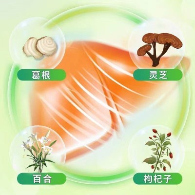 葛根灵芝片49g压片糖果熬夜加班正品葛根灵芝咀嚼片厂家直销代发图3