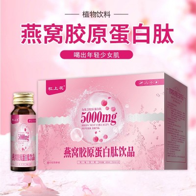 胶原蛋白 燕窝胶原蛋白肽口服液鲣鱼弹性蛋白肽饮女性滋补饮品图2