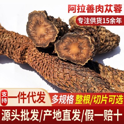 产地直供内蒙古阿拉善荒漠肉苁蓉秋季药食同源整根软大芸大量批发图3