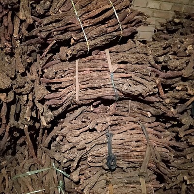 大量批发内蒙古阿拉善大漠金锁阳泡酒泡茶滋补农产品荒漠精选锁阳图3