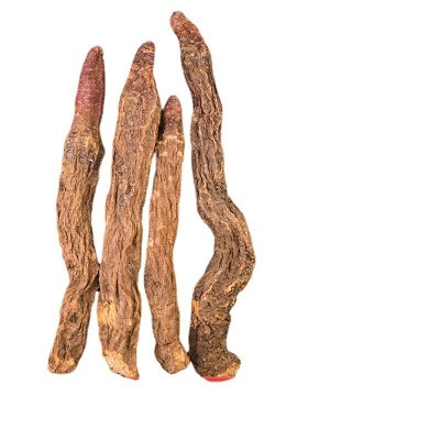 大量批发内蒙古阿拉善大漠金锁阳泡酒泡茶滋补农产品荒漠精选锁阳图4
