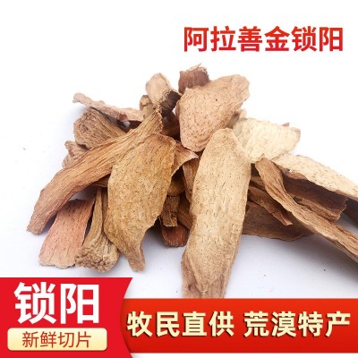 产地货源内蒙古阿拉善金锁阳鲜干片泡酒泡茶炖汤滋补锁阳切片包邮图4