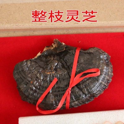人参礼盒 鹿茸礼盒 东北特产 长白山特产 东北五宝 五宝礼盒 灵芝图2