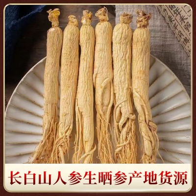 吉林长白山人参干货生晒人参泡酒料整枝白参批发量大价优规格齐全图2