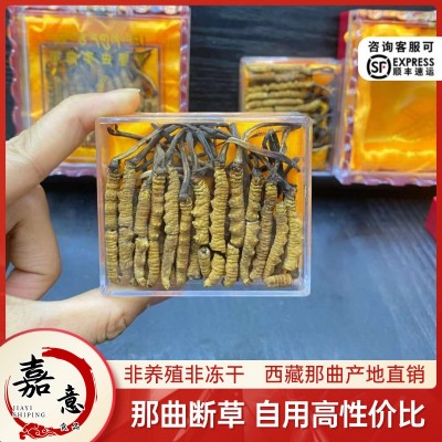 西藏那曲头期冬虫夏草 大断草无牙签性价比虫草批发 西藏产地虫草图2
