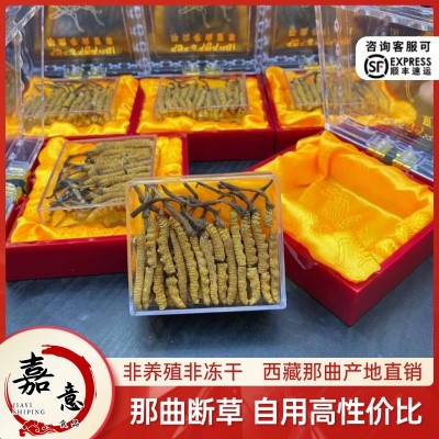 西藏那曲头期冬虫夏草 大断草无牙签性价比虫草批发 西藏产地虫草图3