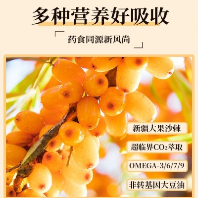 源头工厂沙棘果油软胶囊凝胶糖果纯沙棘果提取沙棘籽油现货批发图3