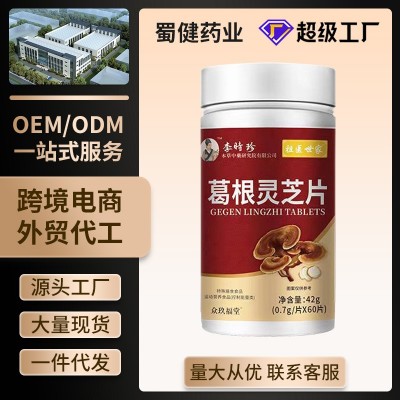 特医世家李时珍葛根灵芝片喝酒熬夜片特膳源头工厂现货批发代发图2