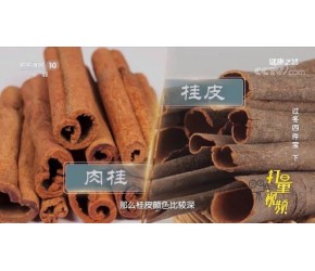 桂皮和肉桂有什么区别？专家详细讲解，快来听听
